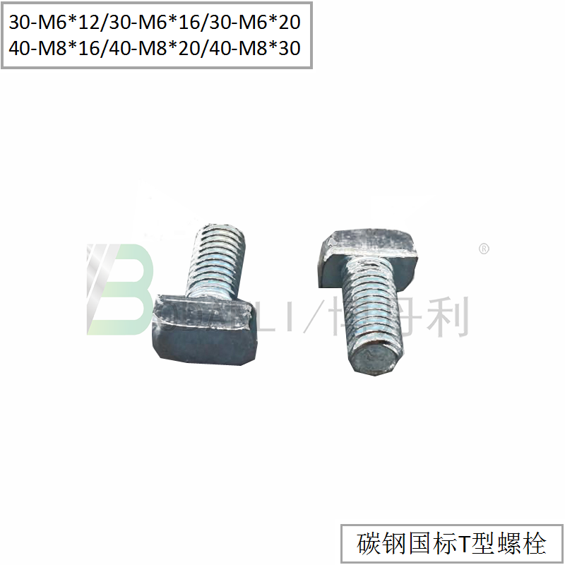 Bodanli national standard T-bolt silver white